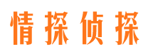 惠州市婚外情调查